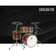 Gretsch Catalina Evo 5pk Kit WG