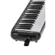 Melodica Walther