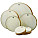 Hand Drums