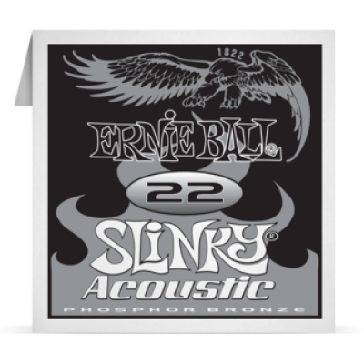 Ernie Ball 022 Slinky Acoustic Guitar Phosphor bronze