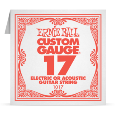 Ernie Ball 017 Plain Steel ﻿Electric and Acoustic Guitar 1017