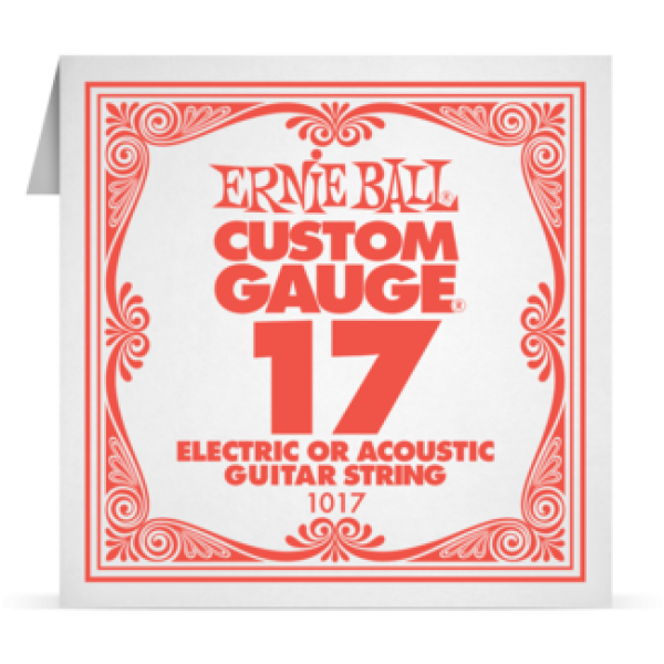 Ernie Ball 017 Plain Steel ﻿Electric and Acoustic Guitar 1017