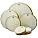 Hand Drums
