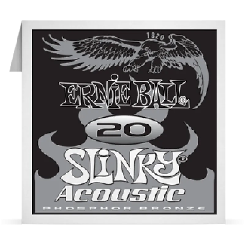 Ernie Ball 020 Slinky Acoustic Guitar Phosphor bronze 