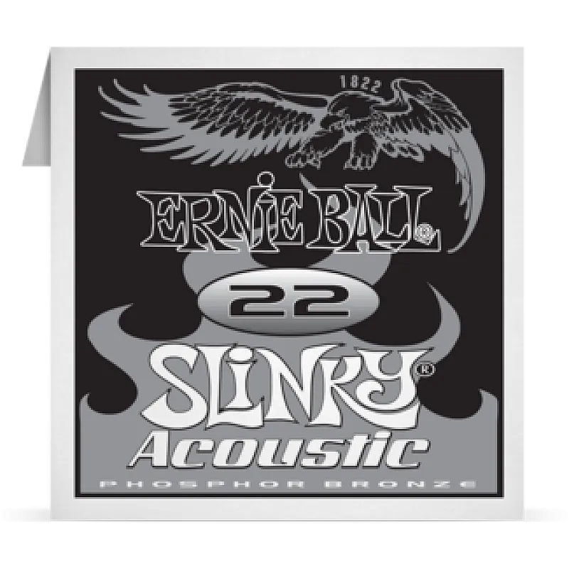 Ernie Ball 022 Slinky Acoustic Guitar Phosphor bronze