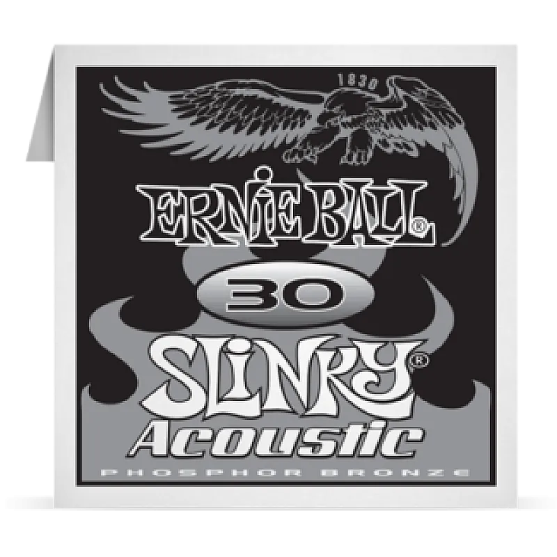 Ernie Ball 030 Slinky Acoustic Guitar Phosphor bronze